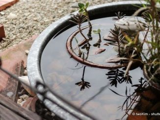 Regenwassernutzung