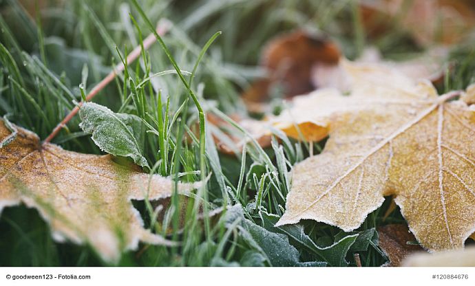 Erster Frost auf dem Rasen