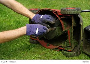 Letzter Rasenschnitt Rasen überwintern was beachten