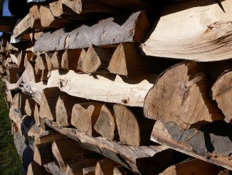 Kaminholz, Brennholz | Bild. 65294