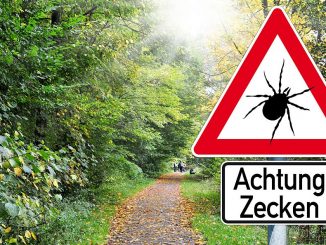 Warnschild Zecken | Bild: stockWERK fotolia.com