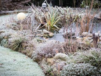 Garten im Winter | Bild: Andrea fotolia.com