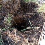 Loch im Garten für Getränkekühler