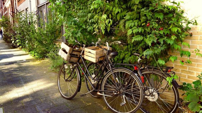 Zwei Lastenfahrräder mit Ladefläche vor und Kiste | Bild: MabelAmber