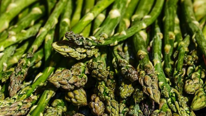 Grüner Spargel | Bild: Coleur
