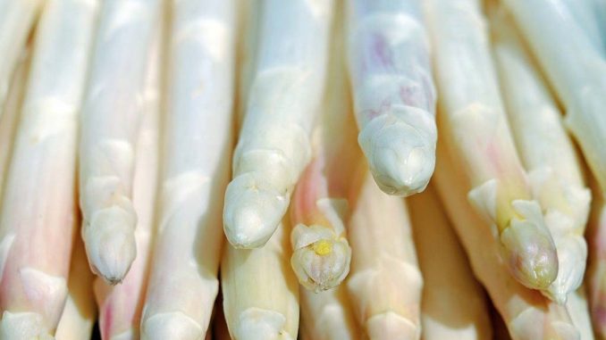 Weißer Spargel | Bild: Coleur