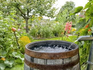 Regenwasser sammeln