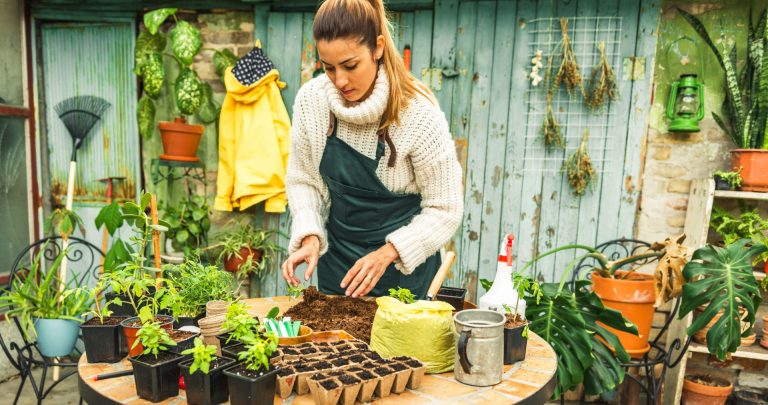Kräutergarten: Frische Ernte für Geschmack und Wohlbefinden