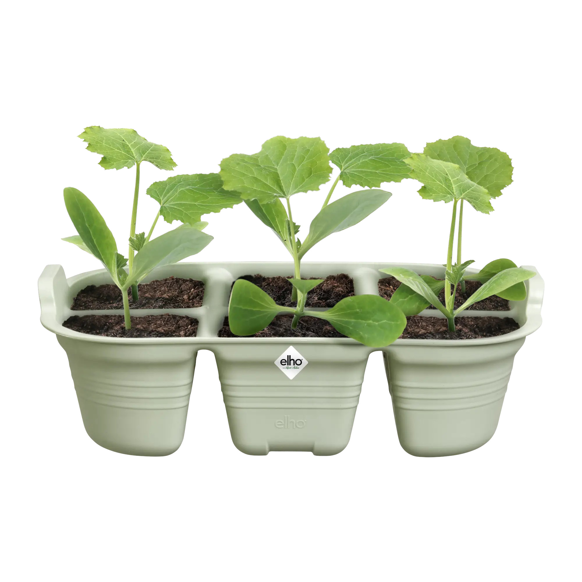 elho® Green Basics Saatschale 22cm steingrün