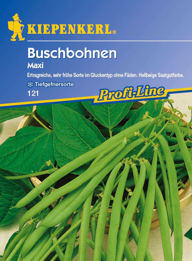 Saatgut Bohnen Maxi