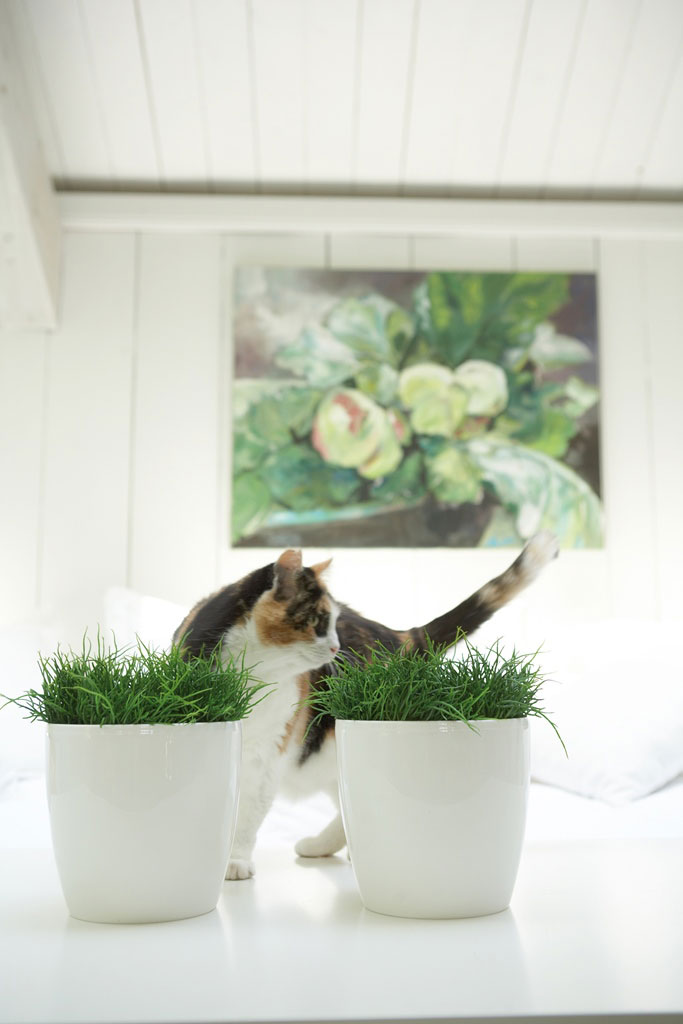 Blumentopf / Übertopf elho Brüssel Diamond rund Ø 14cm weiß 1 Stück