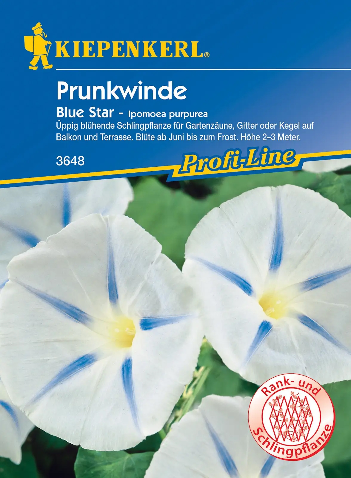 Kiepenkerl® Prunkwindensamen Blue Star