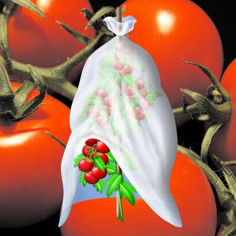 Tomatenvlies / Tomatenhaube Noor 10x0,7m