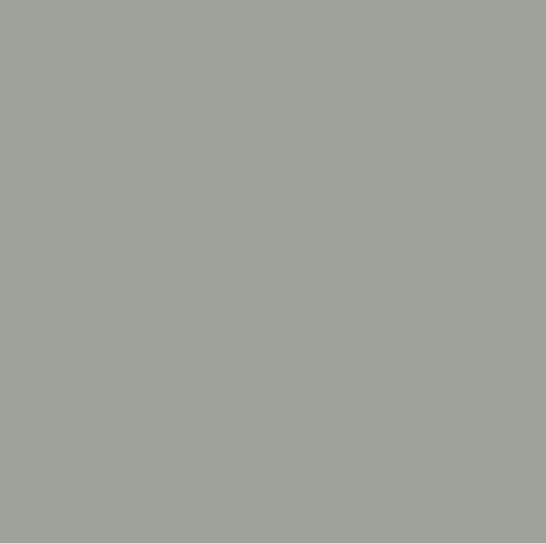 Hammerite® Metall Schutzlack hellgrau matt 750ml