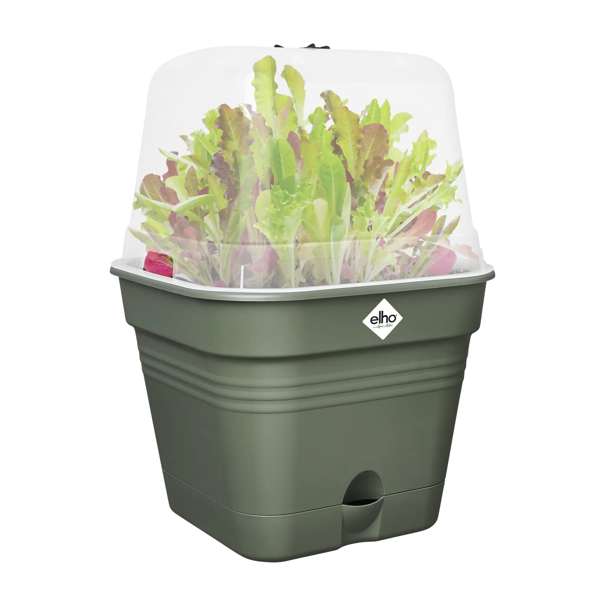 elho® Anzuchttopf Green Basics Quadratisch ALLin1 30cm laubgrün