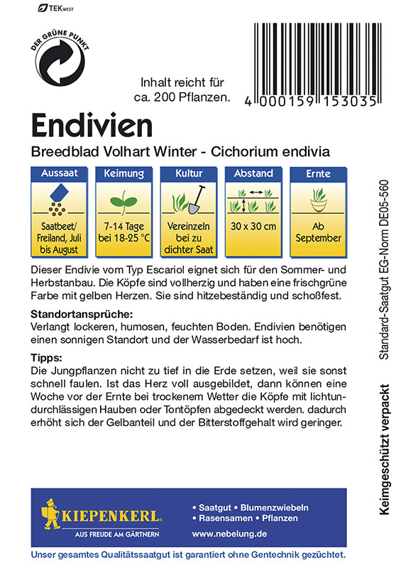 Kiepenkerl Saatgut Endivien Breedblad Volhart Winter