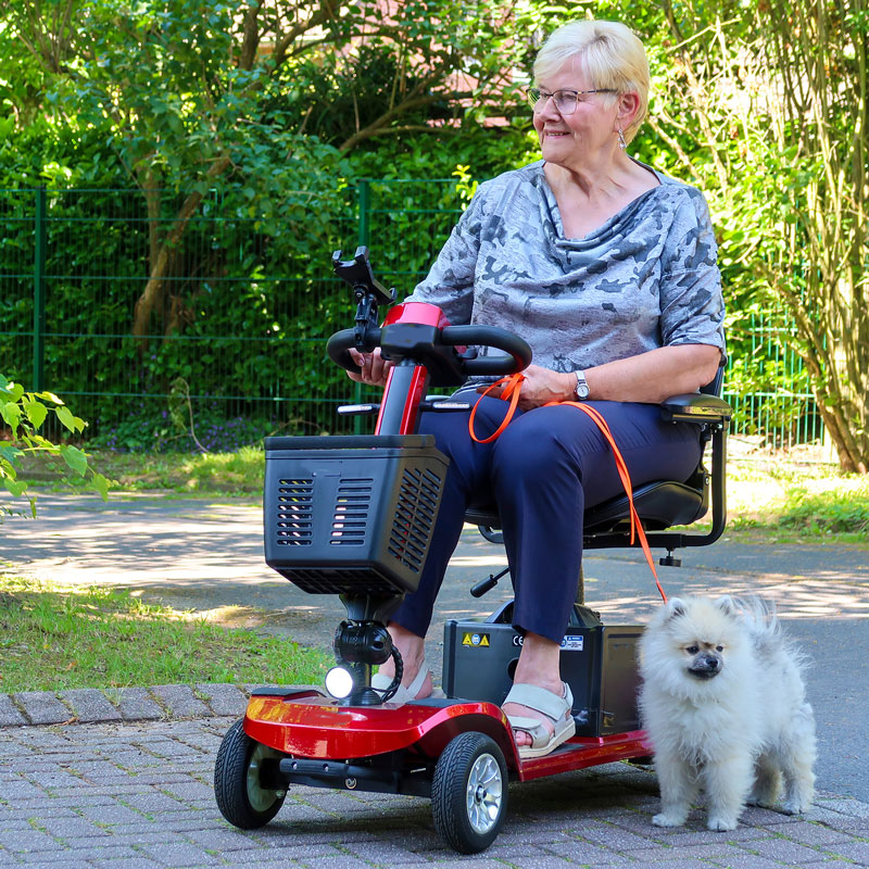 Rolektro Senioren Scooter 6 Kmh+ Führerschein frei Lith