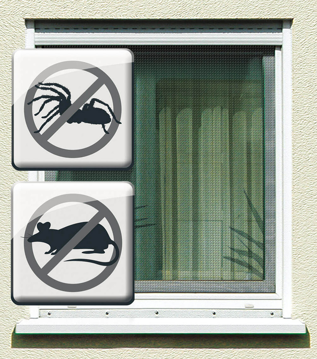 Fliegengitter Minirolle Aluminium Schellenberg 100x120cm natur