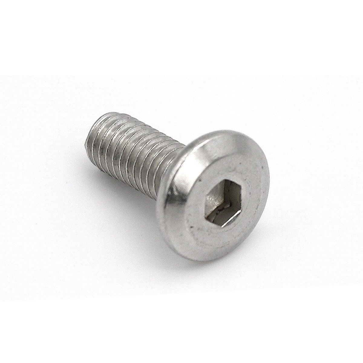 Rolektro Schraube M6 x 16 für Joy20/20Li/45/Jack20/20Li/45