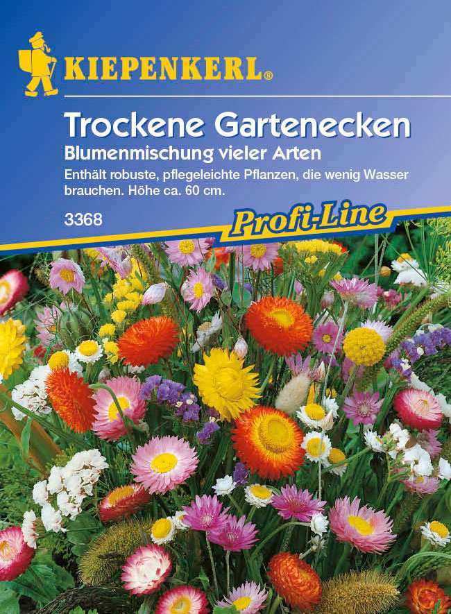 Saatgut Mischungen einjähriger Sommerblumen Trockene Garteneckenmischung