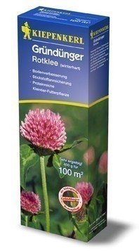 Gründünger-Saaten Rotklee, 400 g Trifolium pratense