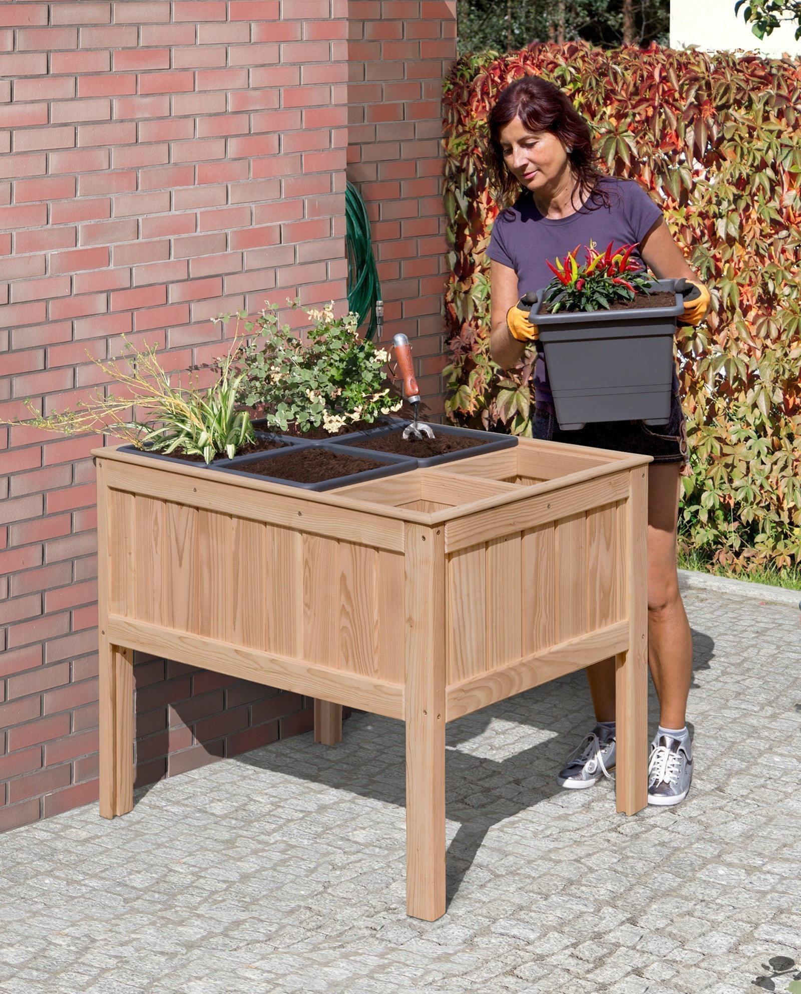 B-Ware Hochbeet Lärche 6er 100x69x80 cm