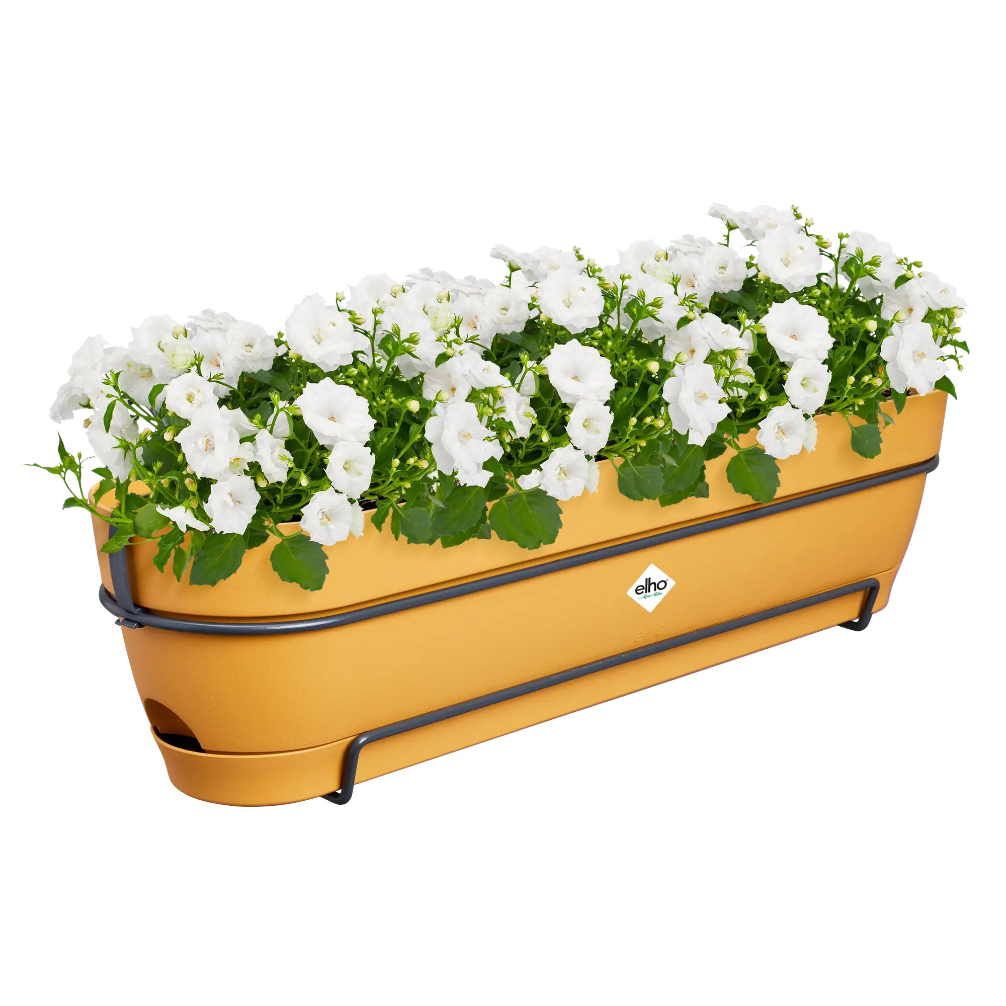 elho® Balkonkasten Vibia Campana ALLin1 70cm honig gelb
