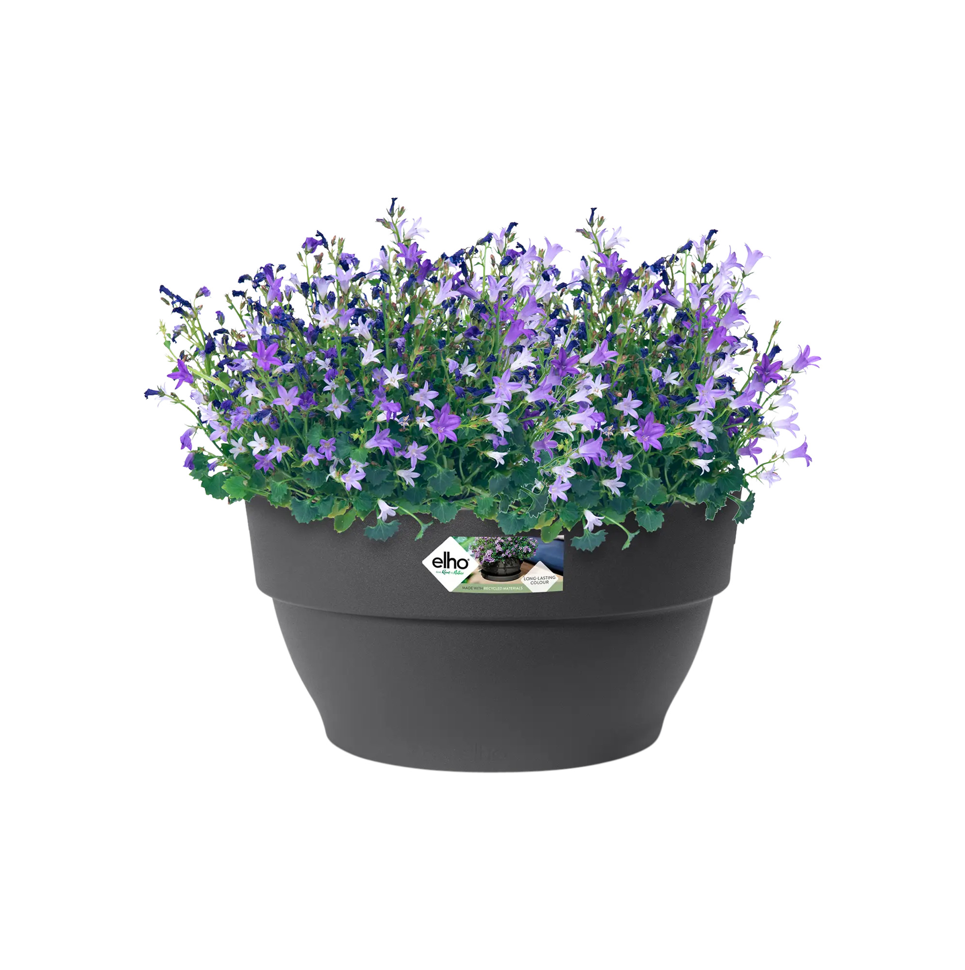 elho® Blumentopf Vibia Campana Schale 34cm anthrazit