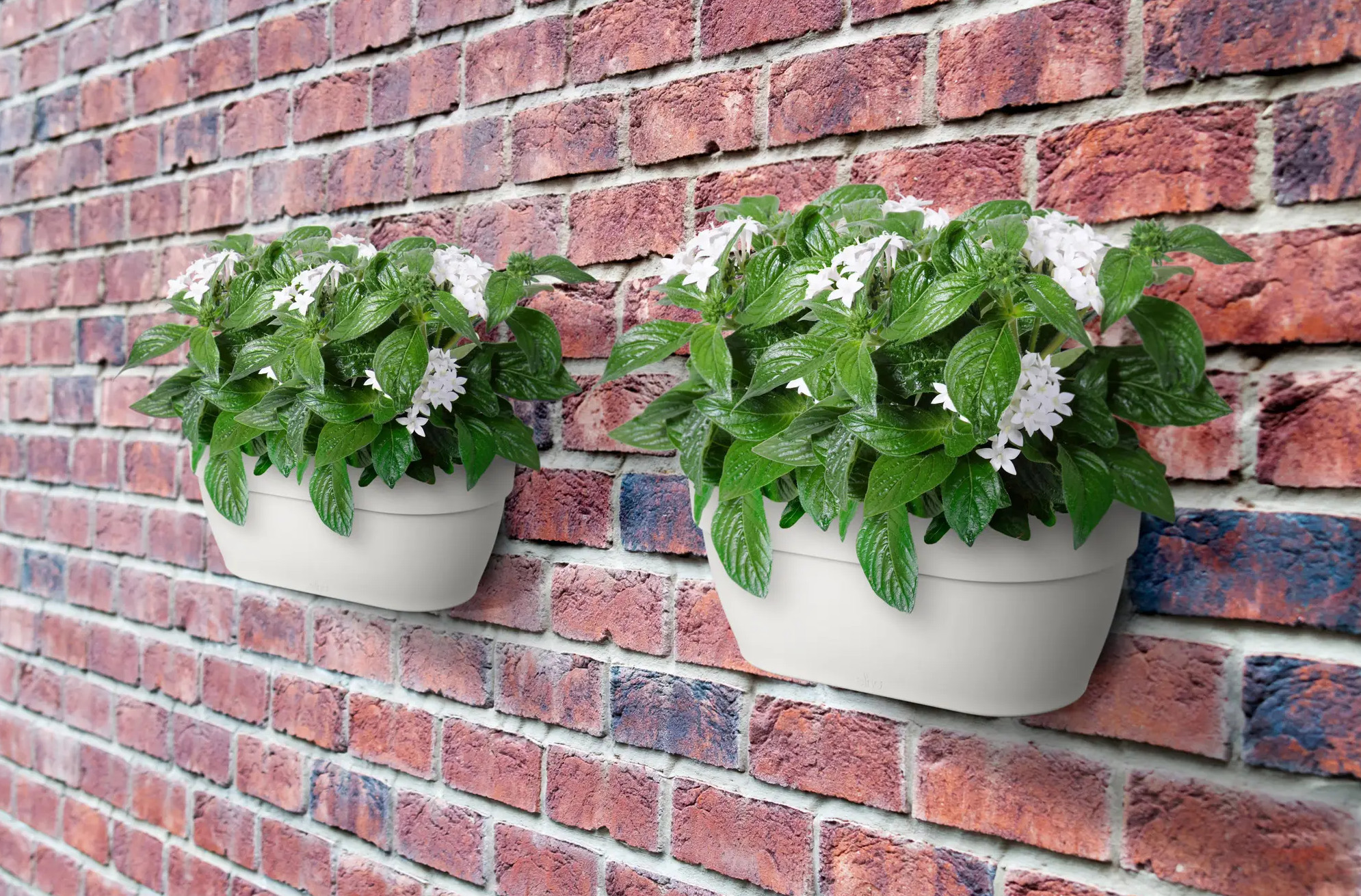 elho® Blumentopf Vibia Campana Wandampel 35cm seidenweiß