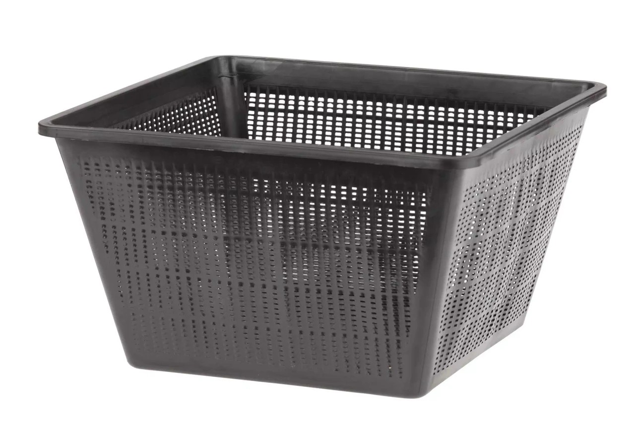 Oase Pflanzkorb viereckig 23 x 23 cm, schwarz