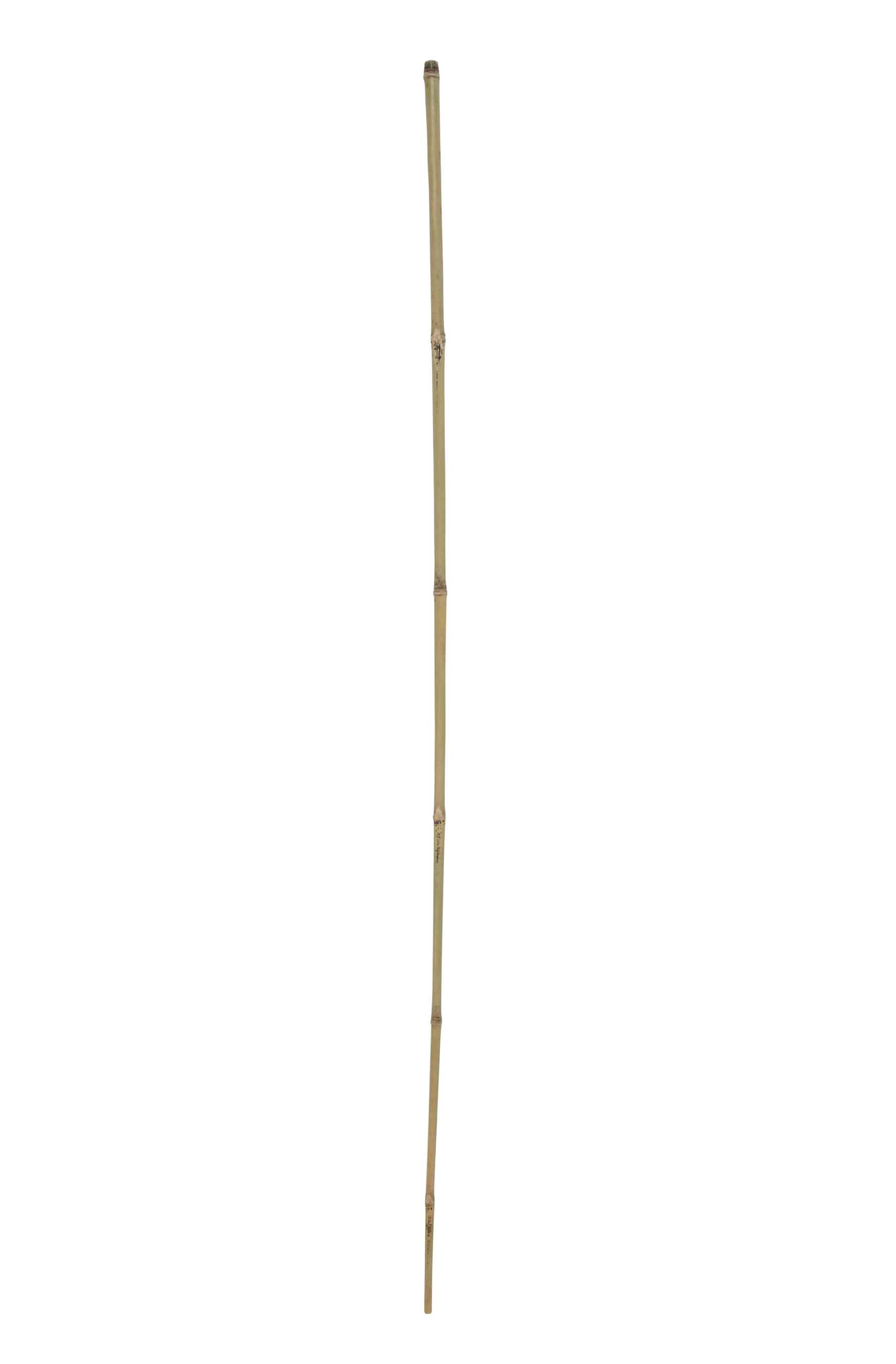 Bambusstab / Dekorationsstab floraworld 150cm