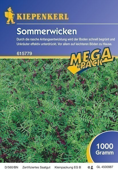 Gründünger-Saaten Sommerwicken 