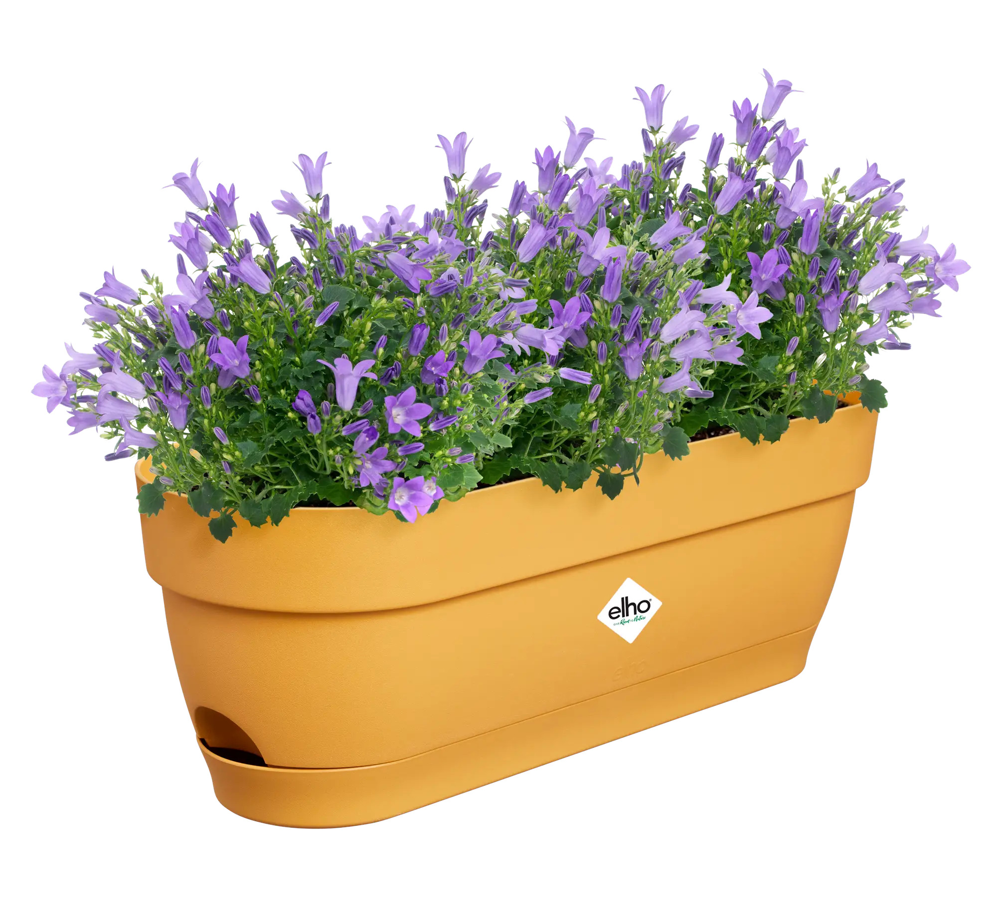 elho® Balkonkasten Vibia Campana 50cm honig gelb