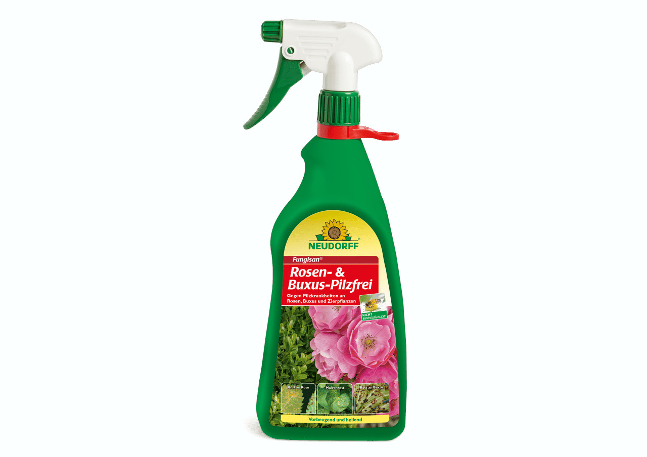 Neudorff Fungisan Rosen- und Buxus-Pilzfrei 1 Ltr.