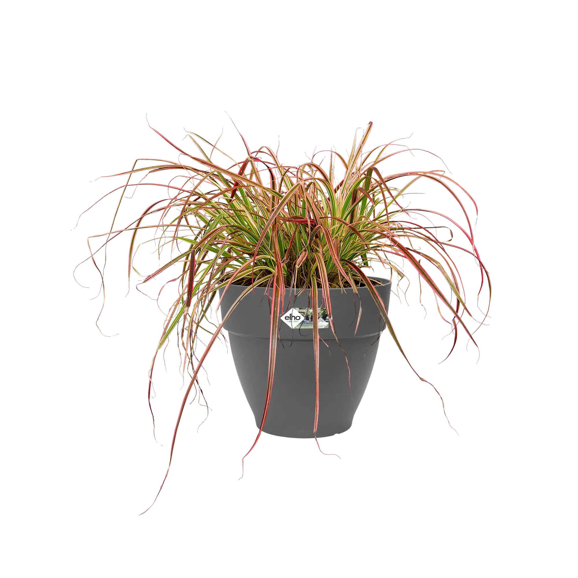 elho@ Blumentopf Vibia Campana Rund 25cm anthrazit