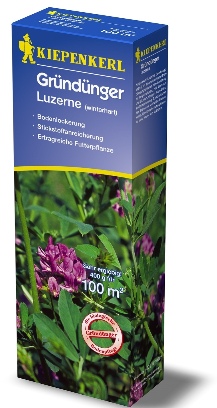 Gründünger-Saaten Luzerne, 400 g Medicago sativa