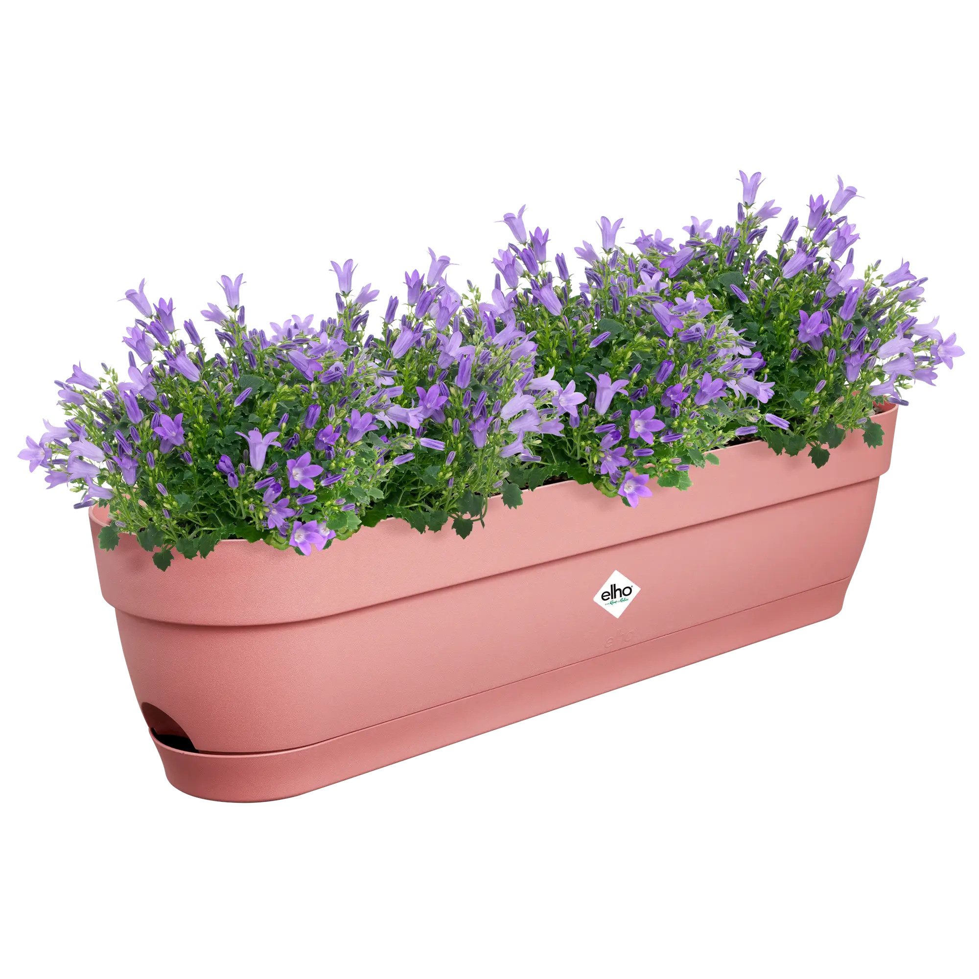 elho® Balkonkasten Vibia Campana 70cm puderrosa