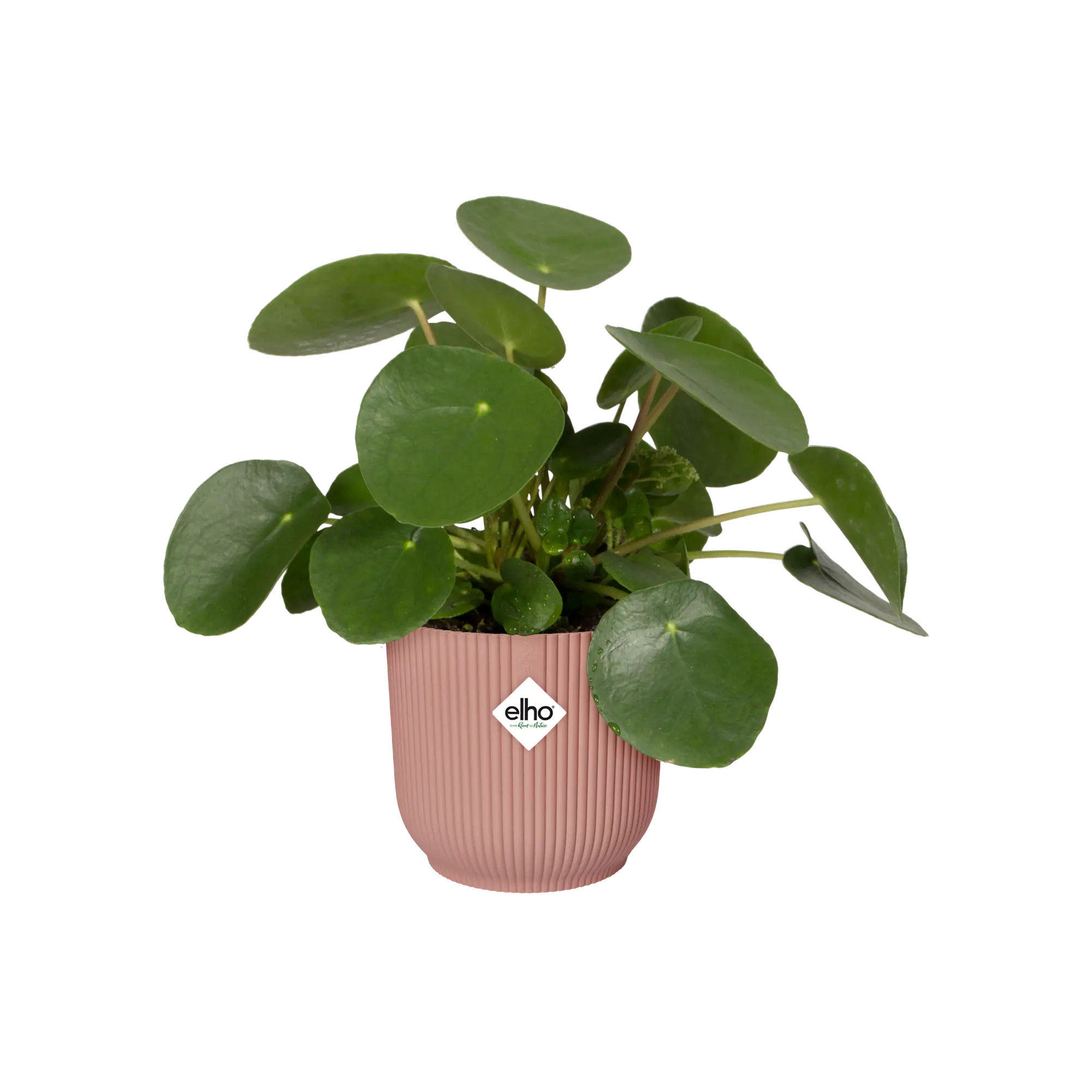 elho® Blumentopf Vibes Fold Rund 30cm zartrosa