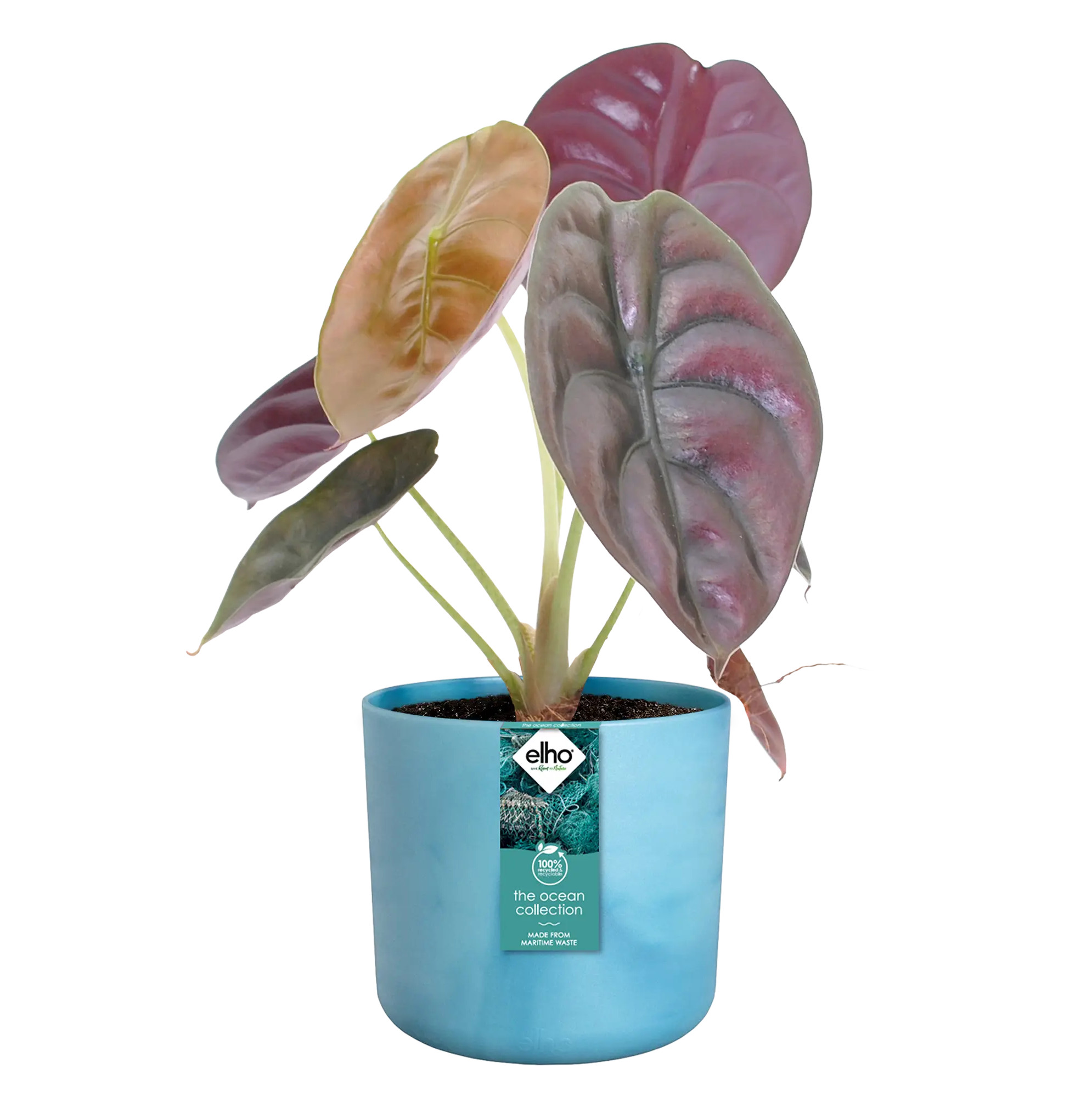 elho® Blumentopf The Ocean Collection Rund 22cm atlantikblau