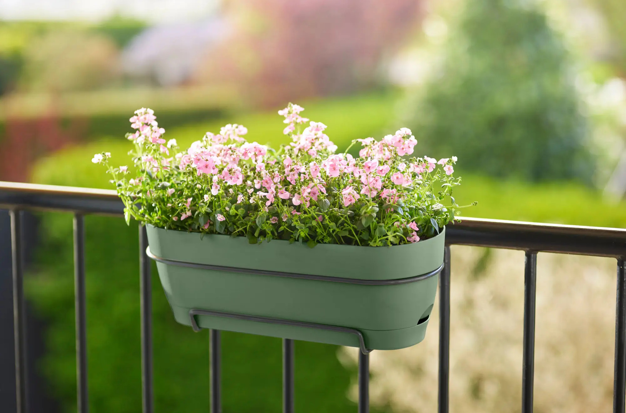 elho® Balkonkasten Vibia Campana 50cm pistazien grün