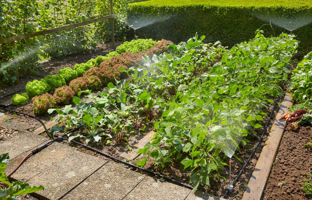 GARDENA Micro-Drip-System Start-Set Pflanzflächen 13015-20