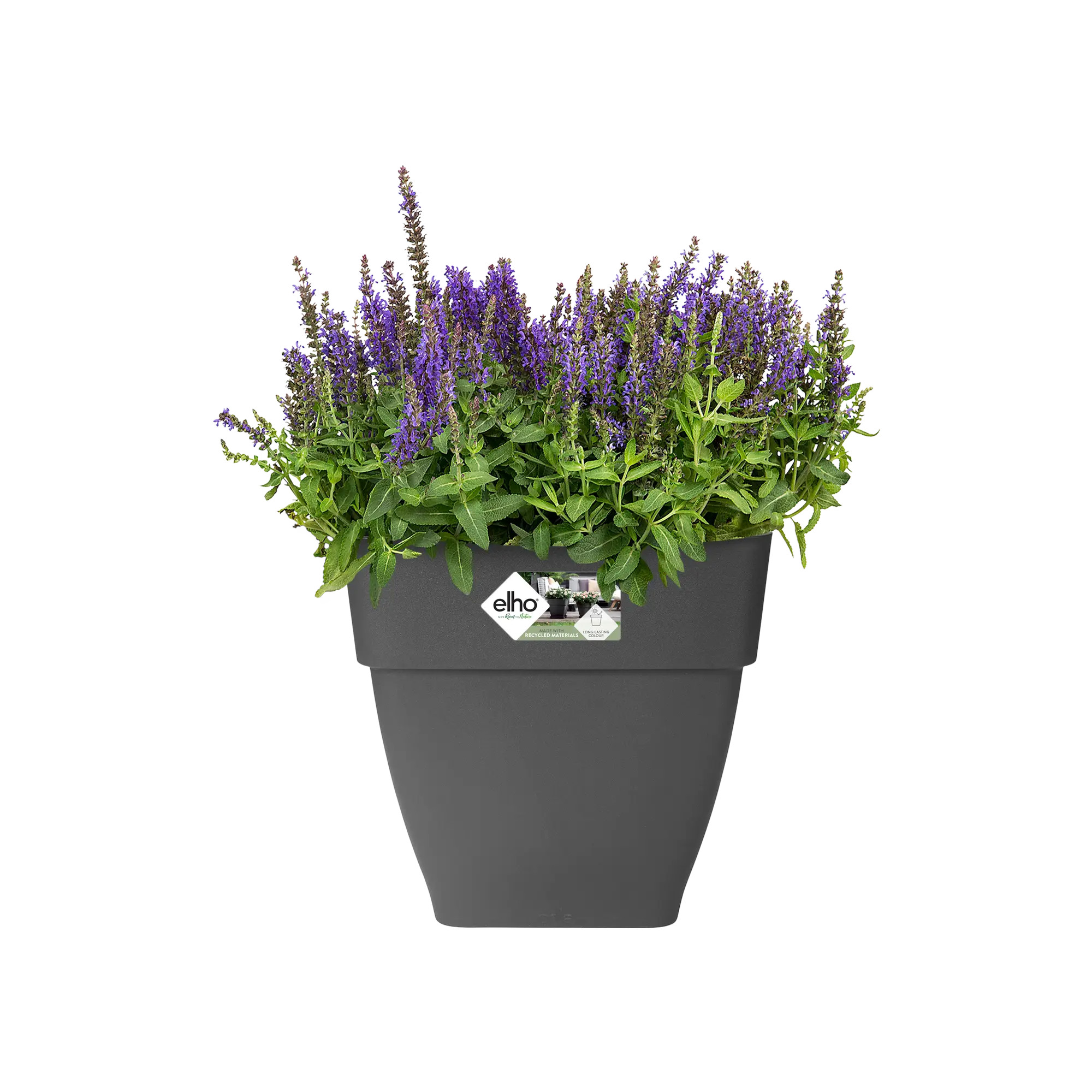 elho® Blumentopf Vibia Campana Quadrat 30cm anthrazit
