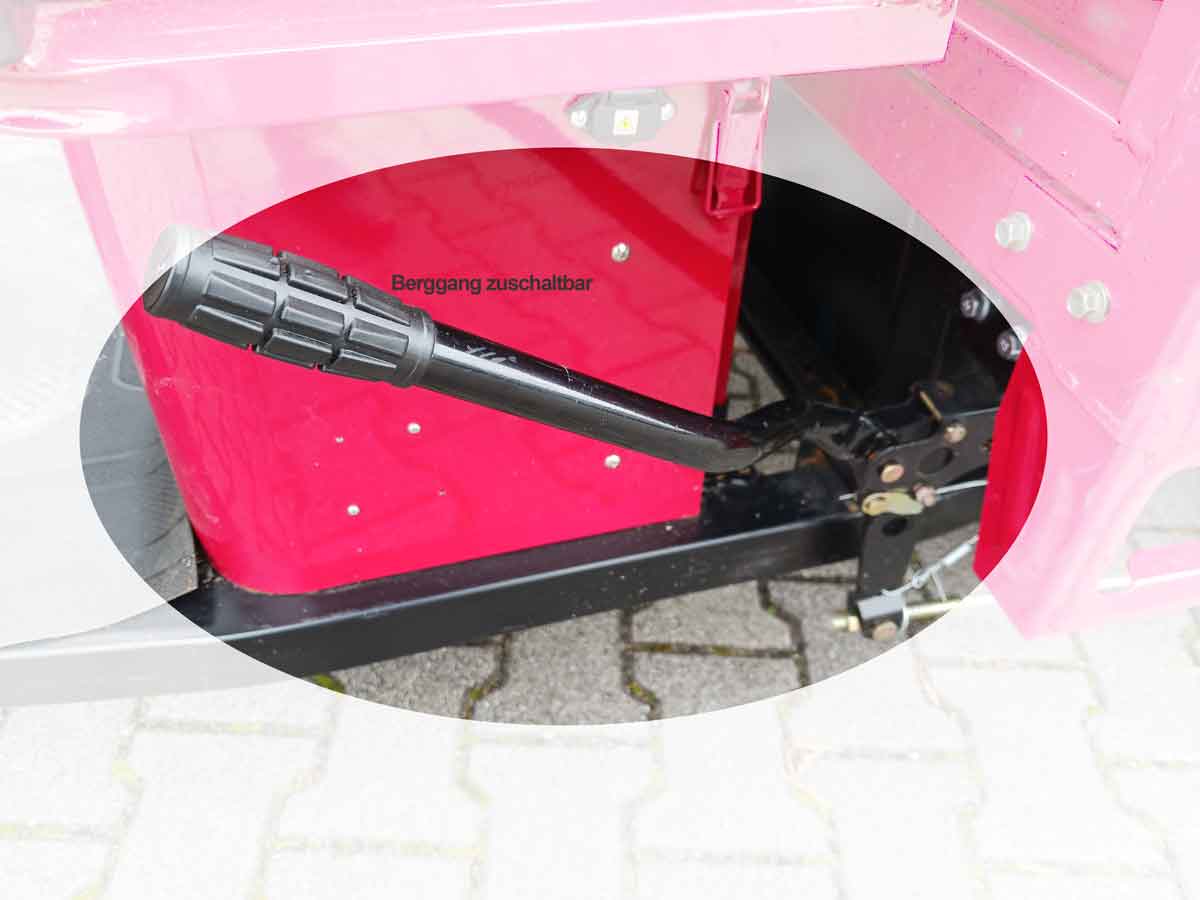 Volta VT5 Cargo Muli Elektro Transporter mit Kabine TUK TUK Volta VT5 Cargo Muli Elektro Transporter mit Kabine TUK TUK