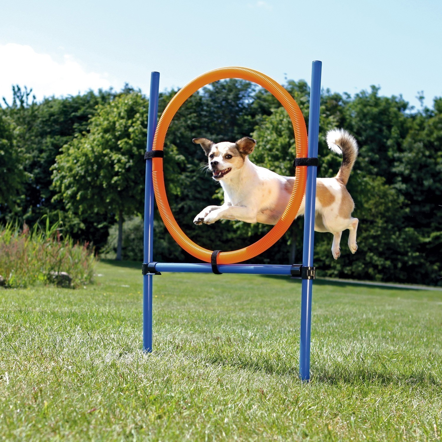 Agility Gerät Ring TRIXIE 115 x Ø 65 cm