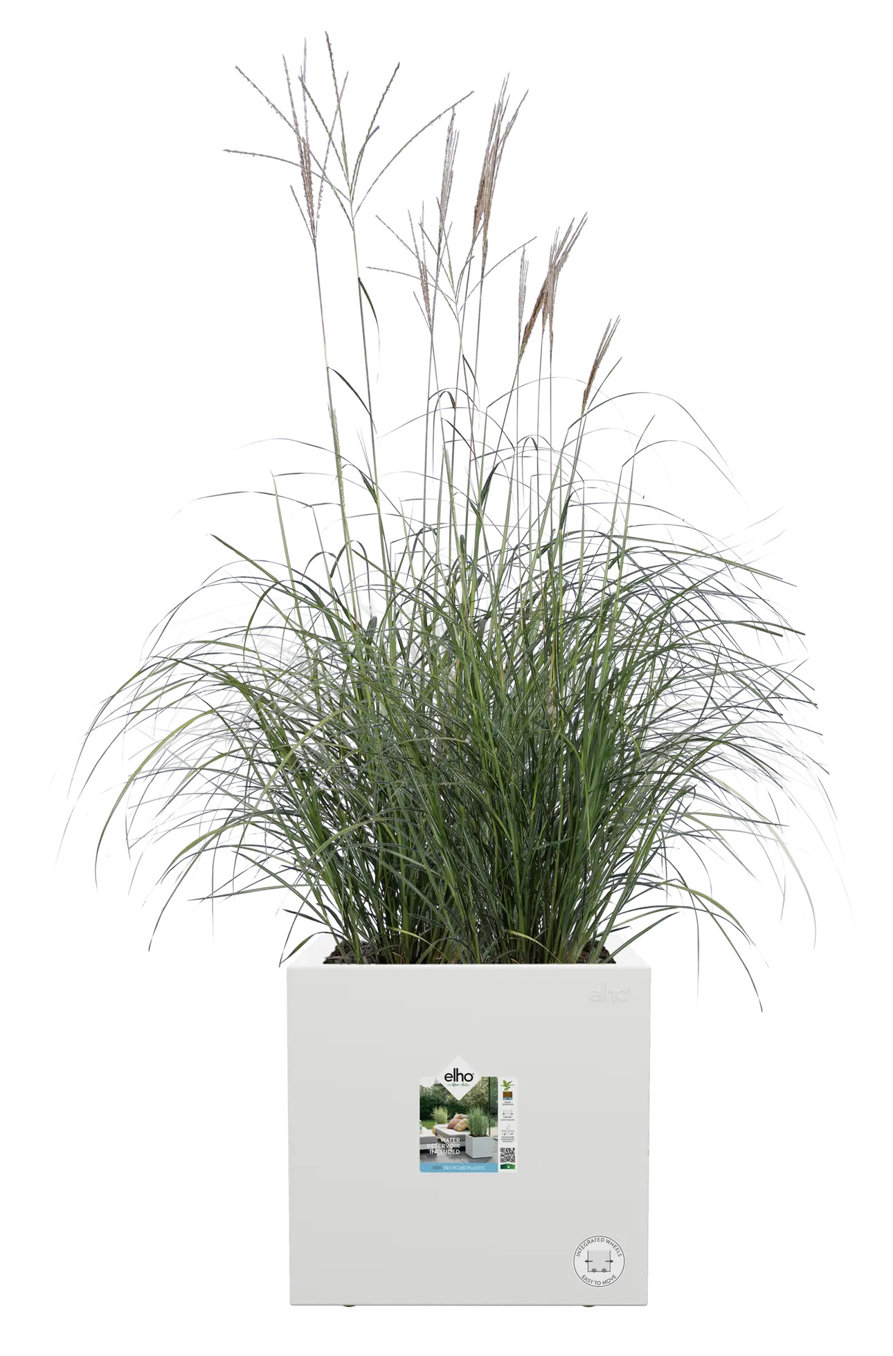 elho Blumentopf VIVO NEXT QUADRAT 30cm weiss