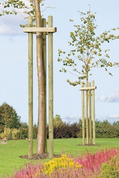 Baumpfahl / Pflanzpfahl / Holzpfahl gespitzt und gefast kdi Ø 6x200cm