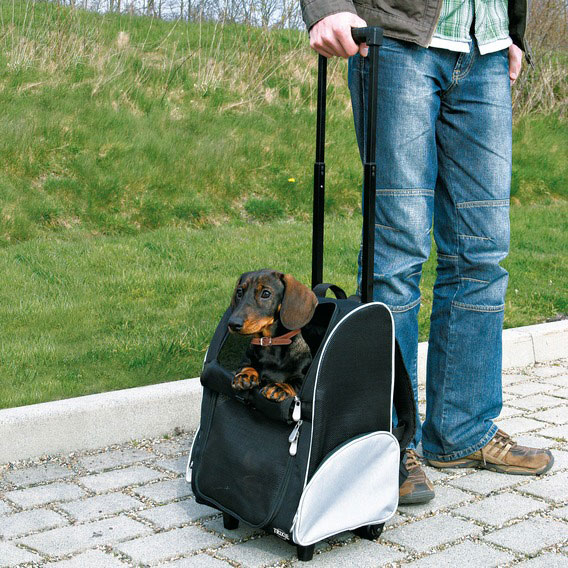 Trolley Tbag Rucksack Trixie 36x50x27cm