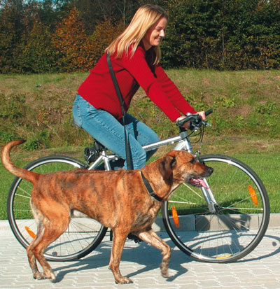 Fahrradleine / Joggingleine TRIXIE 1-2m 25mm schwarz