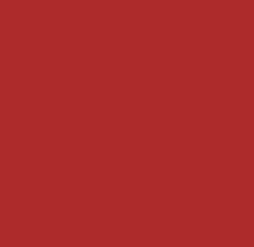 Hammerite® Spezial Haftgrund rot matt 250ml