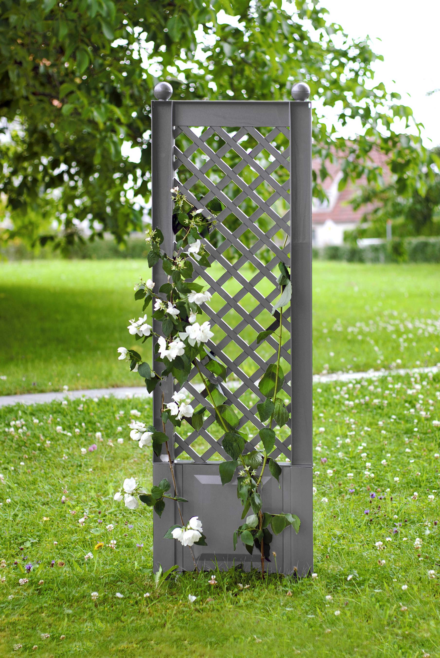 aus Holz - und Pergola Rankgitter bei